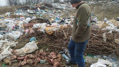 Рештки тварин й сміття: на Хмельниччині виявили стихійне сміттєзвалище Рештки тварин й сміття: на Хмельниччині виявили стихійне сміттєзвалище