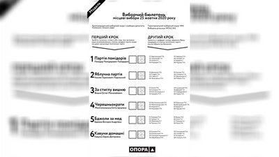 У Житомирі "Опора" пояснила, як правильно заповнити виборчий бюлетень У Житомирі "Опора" пояснила, як правильно заповнити виборчий бюлетень