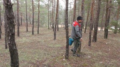 В лісах Херсонської області губляться люди