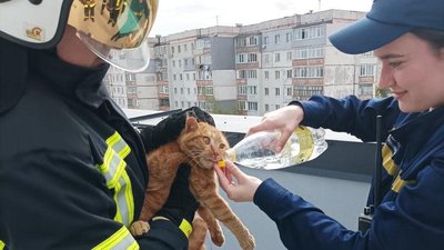 В Івано-Франківську з даху багатоповерхівки рятувальники зняли кошеня