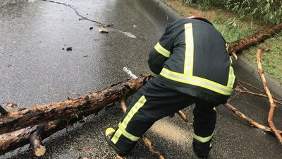 Затопило три автомобілі, впало три дерева. Рятувальники долали наслідки зливи у Кропивницькому Затопило три автомобілі, впало три дерева. Рятувальники долали наслідки зливи у Кропивницькому