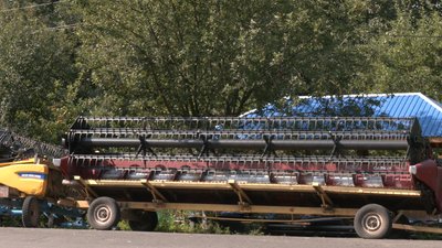 На Черкащині розпочали збирати врожай гречки На Черкащині розпочали збирати врожай гречки