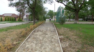 У херсонському сквері ім. Дениса Лошкарьова засохли дерева та кущі: які причини У херсонському сквері ім. Дениса Лошкарьова засохли дерева та кущі: які причини
