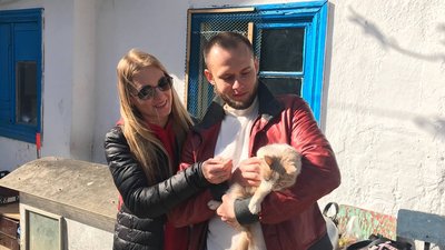"Котиків шкода". На території Одеського жіночого монастиря облаштували притулок для тварин "Котиків шкода". На території Одеського жіночого монастиря облаштували притулок для тварин