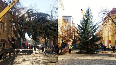 У Берегові встановили новорічну ялинку