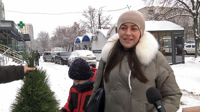 У Луцьку стартував продаж ялинок і сосен до свят: як змінилися ціни У Луцьку стартував продаж ялинок і сосен до свят: як змінилися ціни