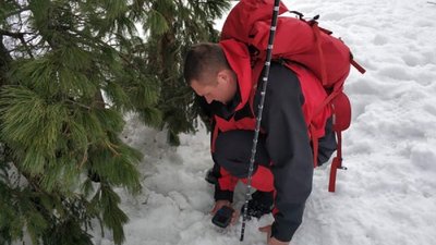Гірські рятувальники Прикарпаття вчилися працювати в умовах лавинних ситуацій