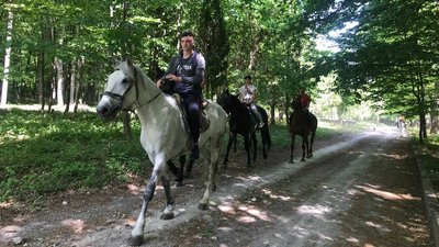 На Тернопільщину переїхала школа верхової їзди з Луганщини На Тернопільщину переїхала школа верхової їзди з Луганщини