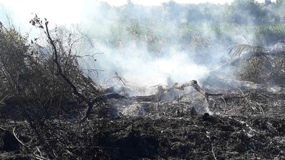 За добу в Миколаївській області рятувальники загасили вогонь на 12-ти гектарах За добу в Миколаївській області рятувальники загасили вогонь на 12-ти гектарах