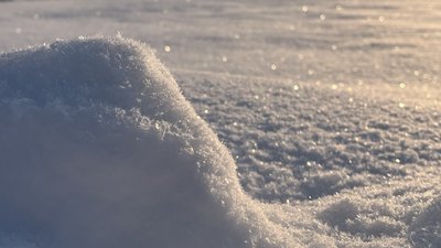 Прогноз на 19 січня