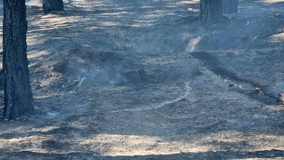 Через обстріли з боку військ Росії сталися шість пожеж на Миколаївщині Через обстріли з боку військ Росії сталися шість пожеж на Миколаївщині