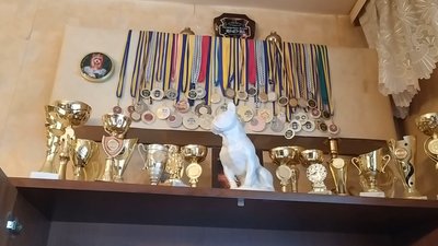 На фото: медалі й кубки з національних виставок собак. На фото: медалі й кубки з національних виставок собак.