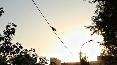 Погода, довкілля, Івано-Франківщина, спека