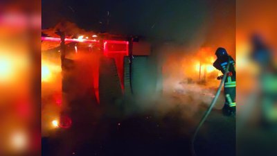 У Чигирині на пожежі загинули 10 кролів