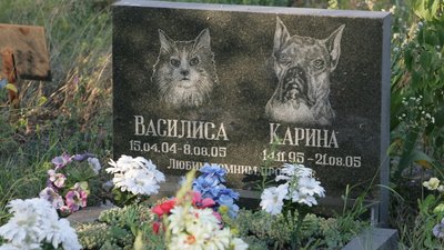 Кияни просять ліквідувати кладовище тварин. Про що йдеться