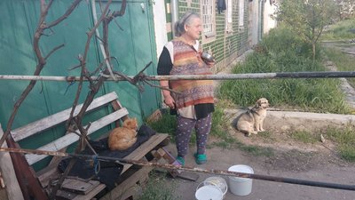 "Це мій спосіб допомогти місту": у Миколаєві волонтери допомагають годувати домашніх та покинутих тварин "Це мій спосіб допомогти місту": у Миколаєві волонтери допомагають годувати домашніх та покинутих тварин