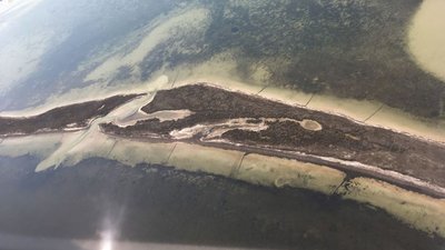 На Херсонщині поблизу острова Джарилгач прикордонники виявили 60 браконьєрських пасток На Херсонщині поблизу острова Джарилгач прикордонники виявили 60 браконьєрських пасток