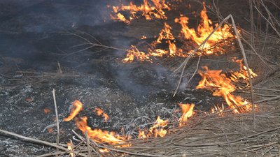 На Донбасі через обстріл бойовиків згоріло поле
