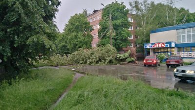 Негода у Сумах: дощ, шквали вітру та повалені дерева (фото)
