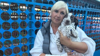 Зооволонтерка із Кременчука, яка опікується собаками та котами із зон бойових дій