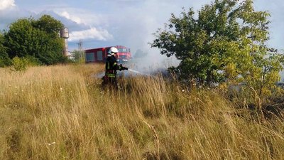 На Житомирщині сталися шість займань сухої рослинності
