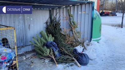 Ялинки – як корм для тварин: способи утилізації новорічних дерев на Сумщині Ялинки – як корм для тварин: способи утилізації новорічних дерев на Сумщині