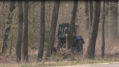 В’їзд до волинських лісів заборонили у зв’язку з карантином В’їзд до волинських лісів заборонили у зв’язку з карантином
