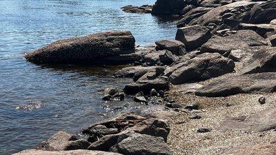 Станом на 6 липня рівень води у нижньому б'єфі ГЕС на Запоріжжі становить 12,87 м