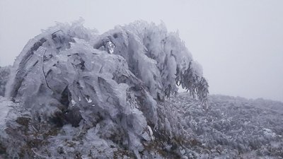 Рятувальники просять утриматися від походів у Карпати