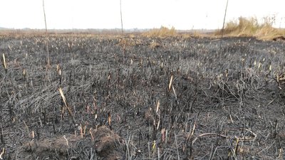 На Полтавщині восьму добу гасять пожежу на покладах торфу На Полтавщині восьму добу гасять пожежу на покладах торфу