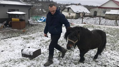 Родина на Тернопільщині виховує 14 дітей, з них 13 – з інвалідністю Родина на Тернопільщині виховує 14 дітей, з них 13 – з інвалідністю