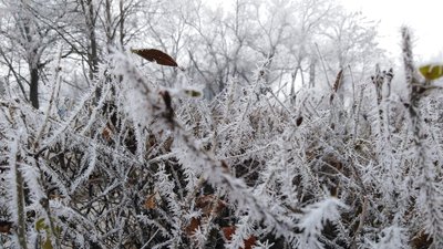 На Миколаївщині очікуються ускладнення погодних умов першого рівня небезпечності