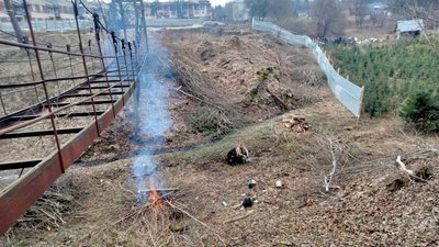 Розкрижовані дерева та багаття: у Львівській громаді забудовник зрізав понад 100 дерев