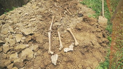 У Вінниці під час будівельних робіт знайшли людські рештки. Що кажуть історики У Вінниці під час будівельних робіт знайшли людські рештки. Що кажуть історики