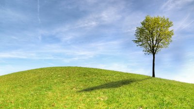 Greening of the Planet: вінничан запрошують долучитися до екологічної акції