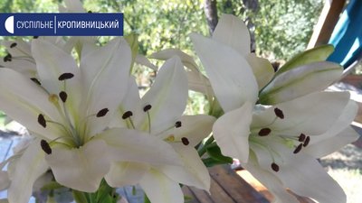 Букет з лілей виготовляла півтора місяці Букет з лілей виготовляла півтора місяці