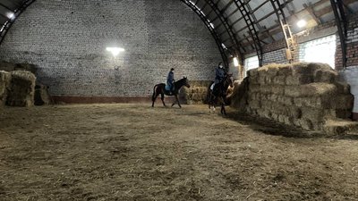 Знімають емоційне та психологічне навантаження. У Миколаєві готують коней для роботи з вершниками Знімають емоційне та психологічне навантаження. У Миколаєві готують коней для роботи з вершниками