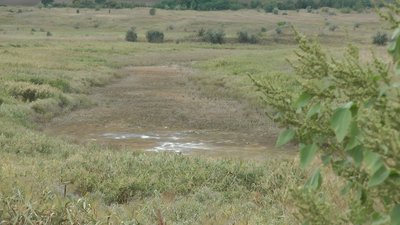 Глобальне потепління чи людський фактор. Чому пересихає річка Терса Глобальне потепління чи людський фактор. Чому пересихає річка Терса