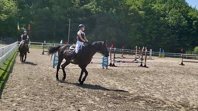 Вершники з трьох областей змагаються на Коломийщині у кінному спорті Вершники з трьох областей змагаються на Коломийщині у кінному спорті