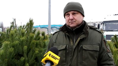 На Сумщині перевірили законність продажу ялинок На Сумщині перевірили законність продажу ялинок