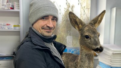Ветеринар з Горішніх Плавнів на Полтавщині рятує диких тварин
