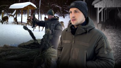 Дикі тварини на Чернігівщині: як взимку підгодовують диких звірів