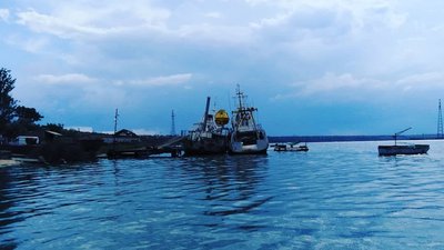 У мкр Велика Корениха, що в Миколаєві, вода на поверхні Бузького лиману позеленіла