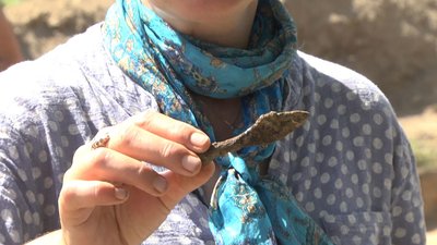 Стріла, знайдена археологами Стріла, знайдена археологами