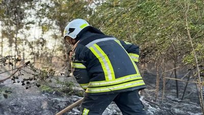 Пожежі в екосистемі Запорізької області