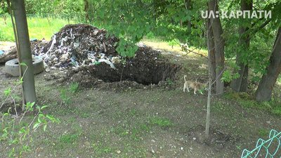 Чиє сміття закопав у себе прикарпатець у Герині? Чиє сміття закопав у себе прикарпатець у Герині?