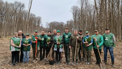 На Тернопільщині нові ліси засаджують дубами На Тернопільщині нові ліси засаджують дубами