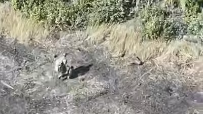 Російський штурмовик
