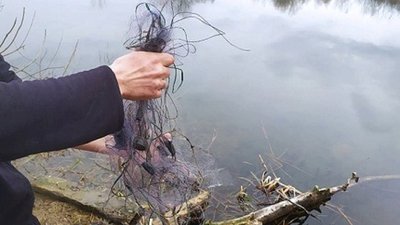 Франківські інспектори рибпатруля врятували рибу з браконьєрської сітки