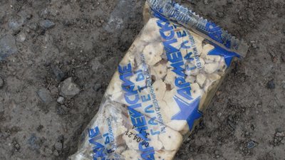 У Тростянці на Сумщині сапери зі службовими собаками розміновують територію У Тростянці на Сумщині сапери зі службовими собаками розміновують територію